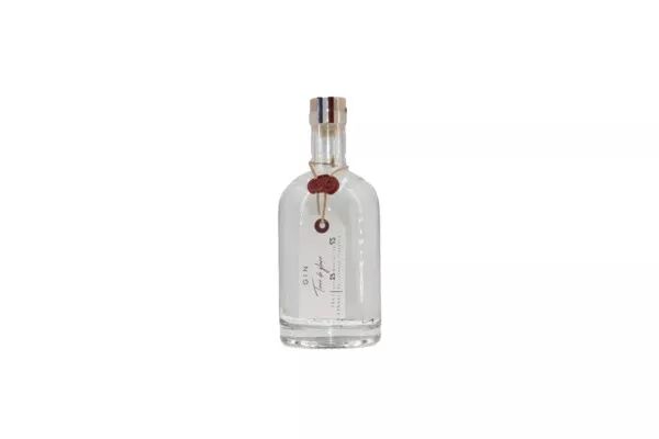 Gin - MD - Terre de Glace -  Champagne Ardenne - 70 cl - 40°